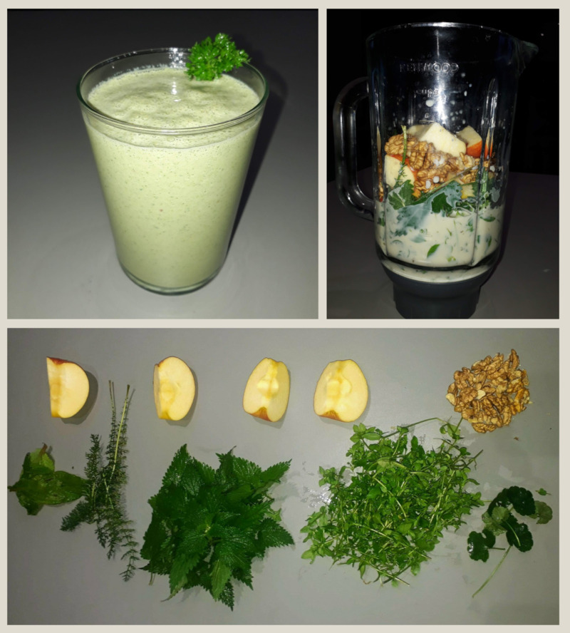 Smoothie aux mauvaises herbes, fév. 2021